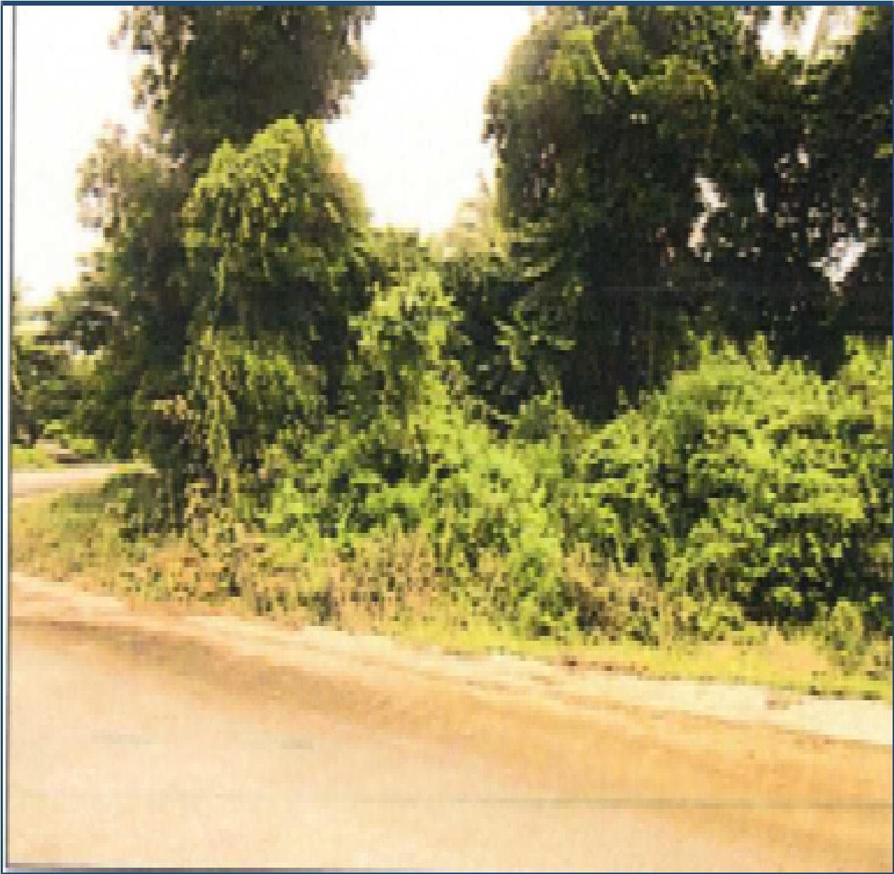 Residential, Vacant Lot, Lot Area: 1223.00 sq. m., Floor Area: 0.00 sq. m.
