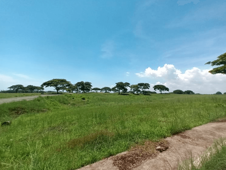 Block 21, Lot 2 Saddle and Clubs Leisure Park Subdivision, Barangay Tanauan, Tanza, Cavite
