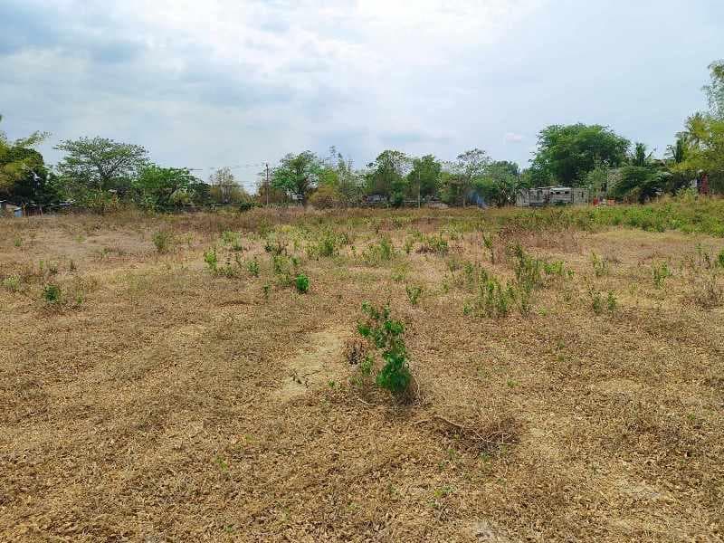 Vacant Lot
