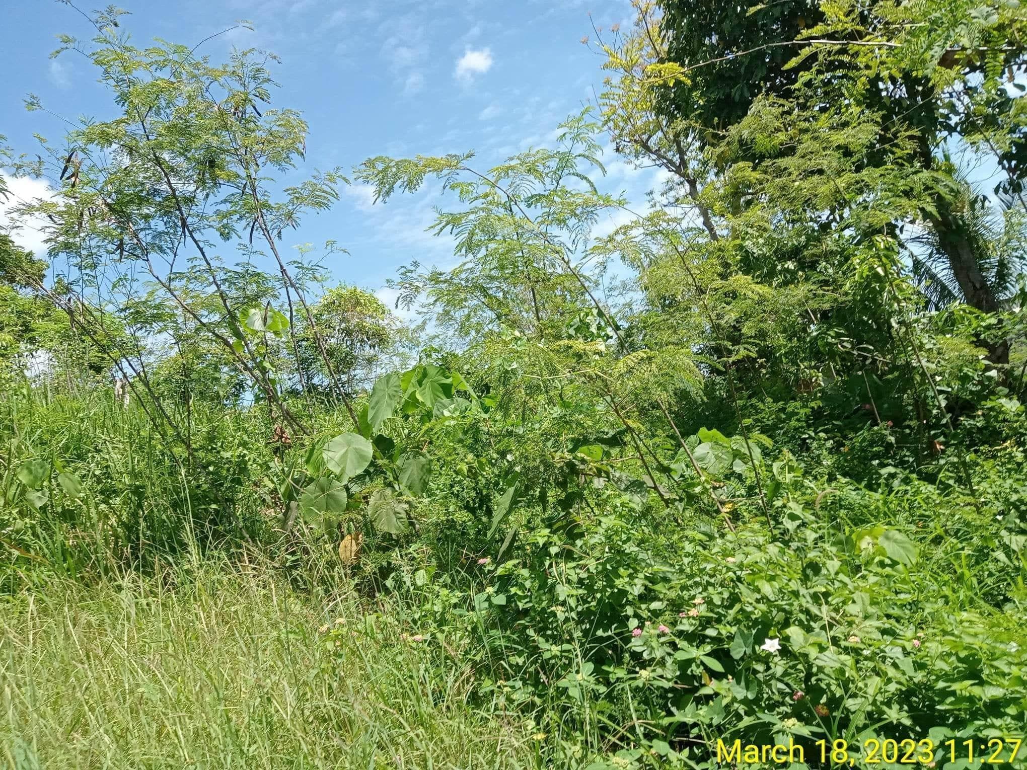 Vacant Lot