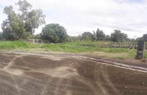Promenade Subdivision in Laguna
