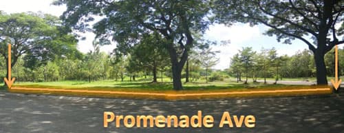 Promenade Subdivision in Laguna