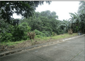 Lot 28, Block 4, Cypress St. La Marea Subdivision, Phase 1, Barangay San Antonio, San Pedro, Laguna — photo 2