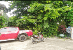 Lot 7, Block 11, Eucalyptus St. La Marea Subdivision, Phase 1, Barangay San Antonio, San Pedro, Laguna